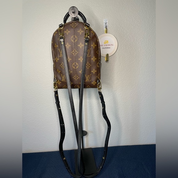 Louis Vuitton Palms Springs mini - Picture 3 of 15